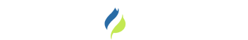 logo color
